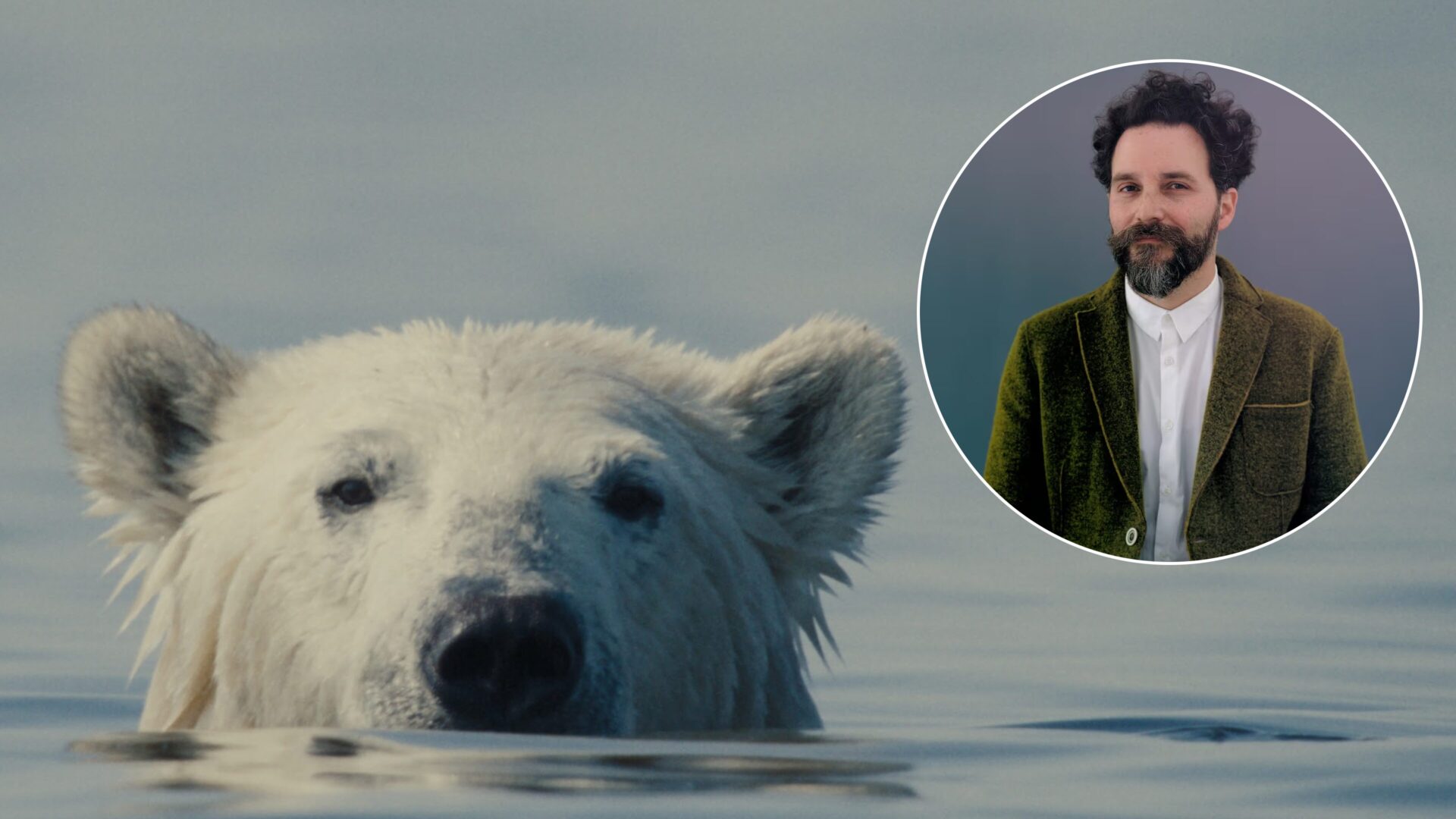 Cristóbal Tapia de Veer, ganador del Emmy por la banda sonora de The White Lotus, musicaliza el documental Nuisance Bear que se proyectará en Santiago Wild