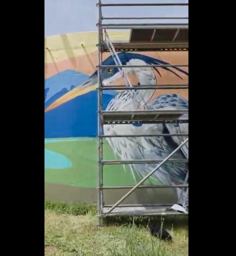 eldespertardelriocapsula4