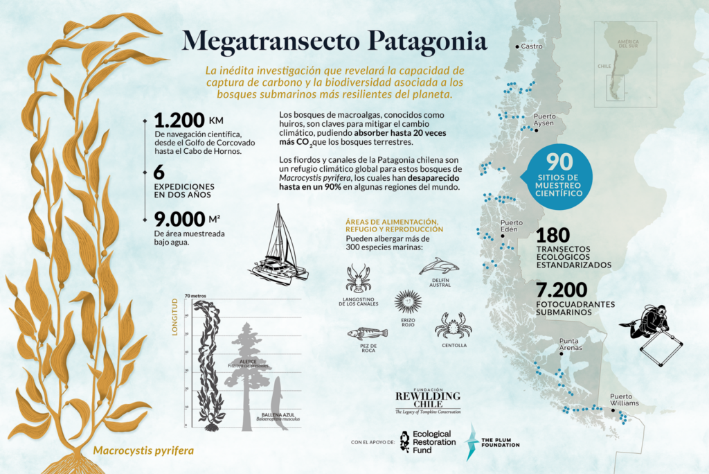 Infografia_Megatransecto Patagonia