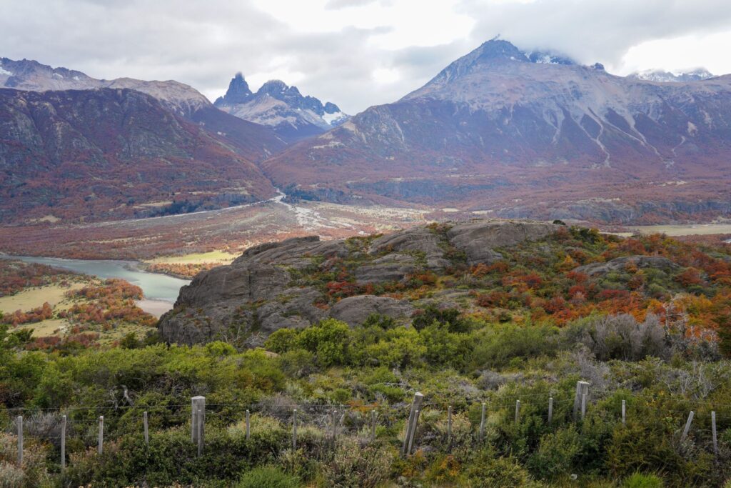 jamenavueltadelasardillas