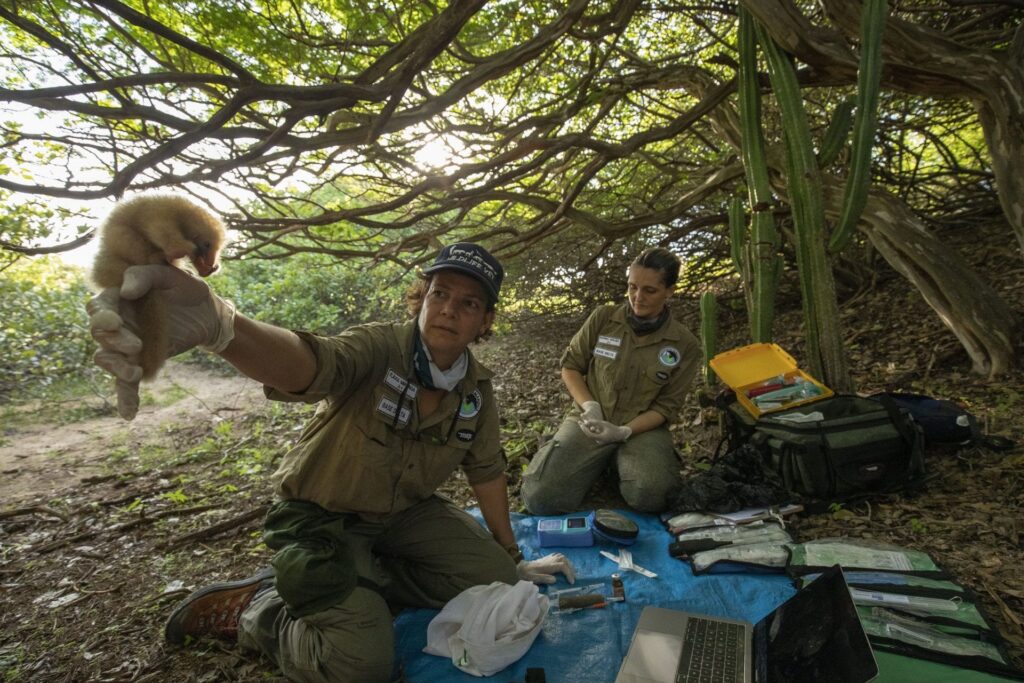 Flávia Miranda, documental "Mulheres na conservação". Créditos: JOÃO MARCOS ROSA / NITRO
