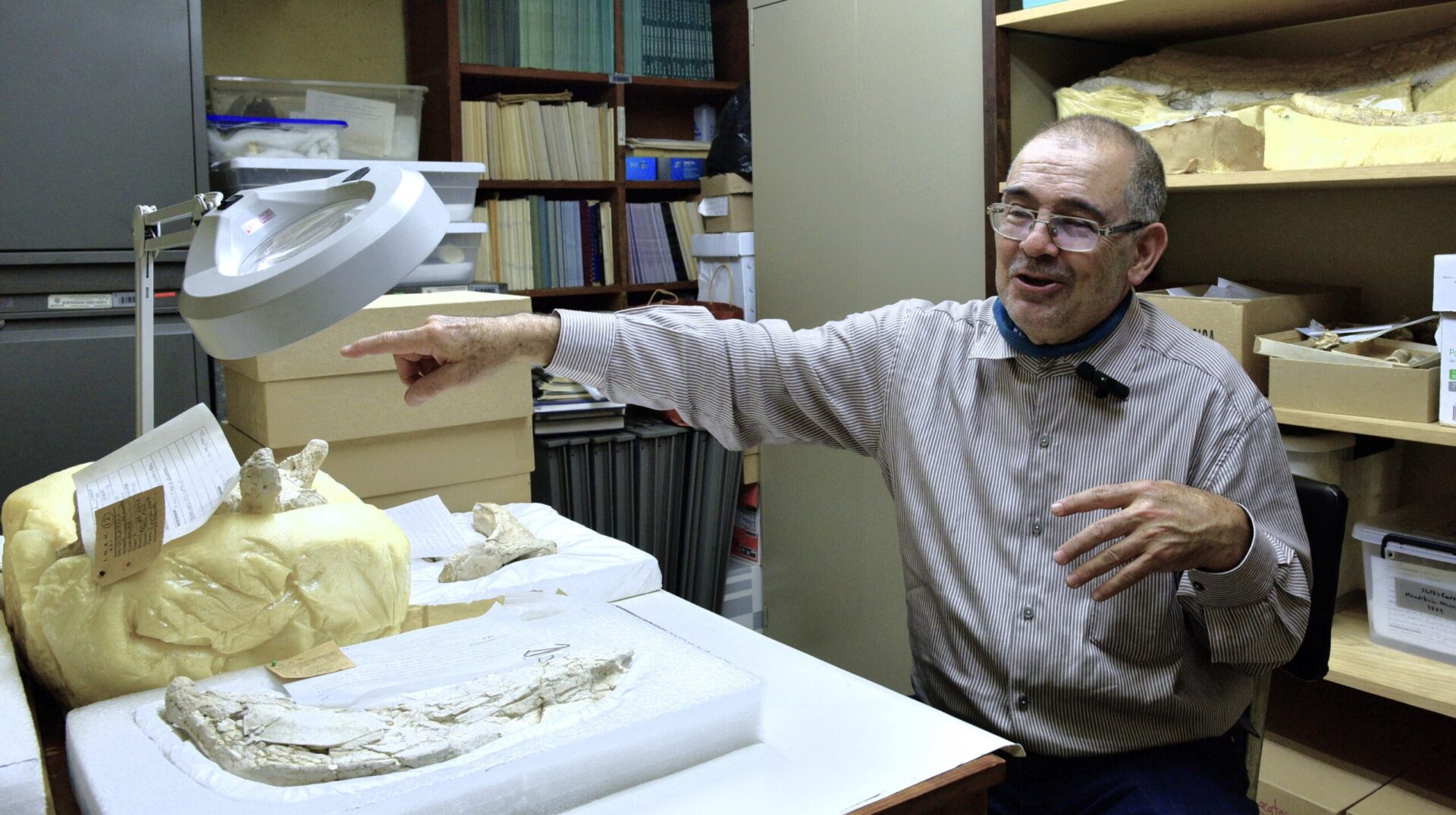 En el Día de la Apreciación de los Murciélagos, entrevista a biólogo que ha reconstruido la historia de estos mamíferos en México