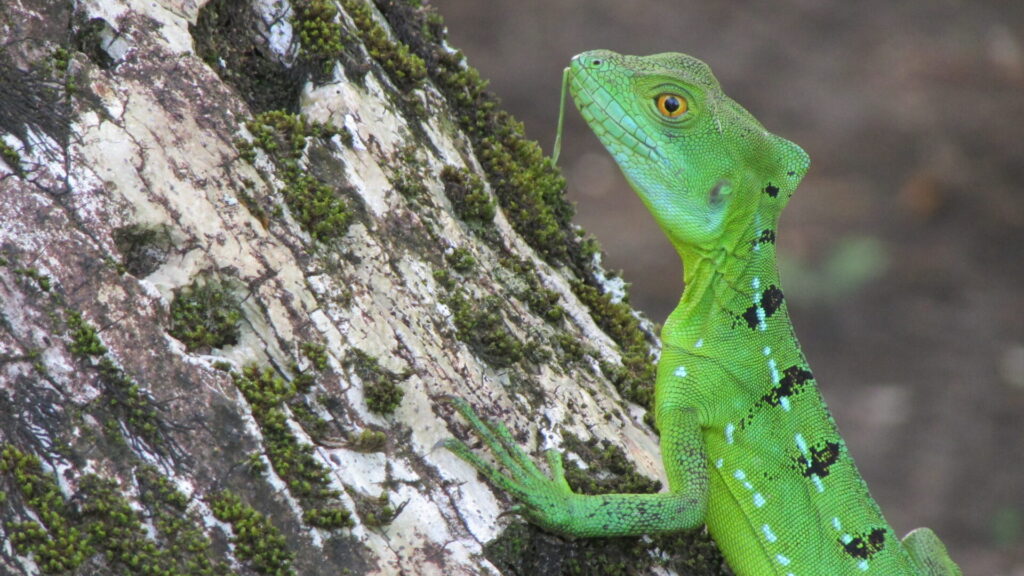 Foto Bárbara Tupper