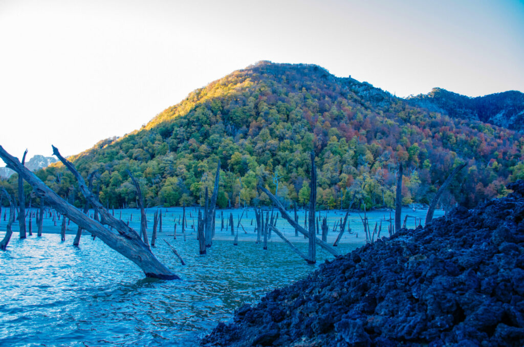 Foto por Rodrigo Hermosilla
