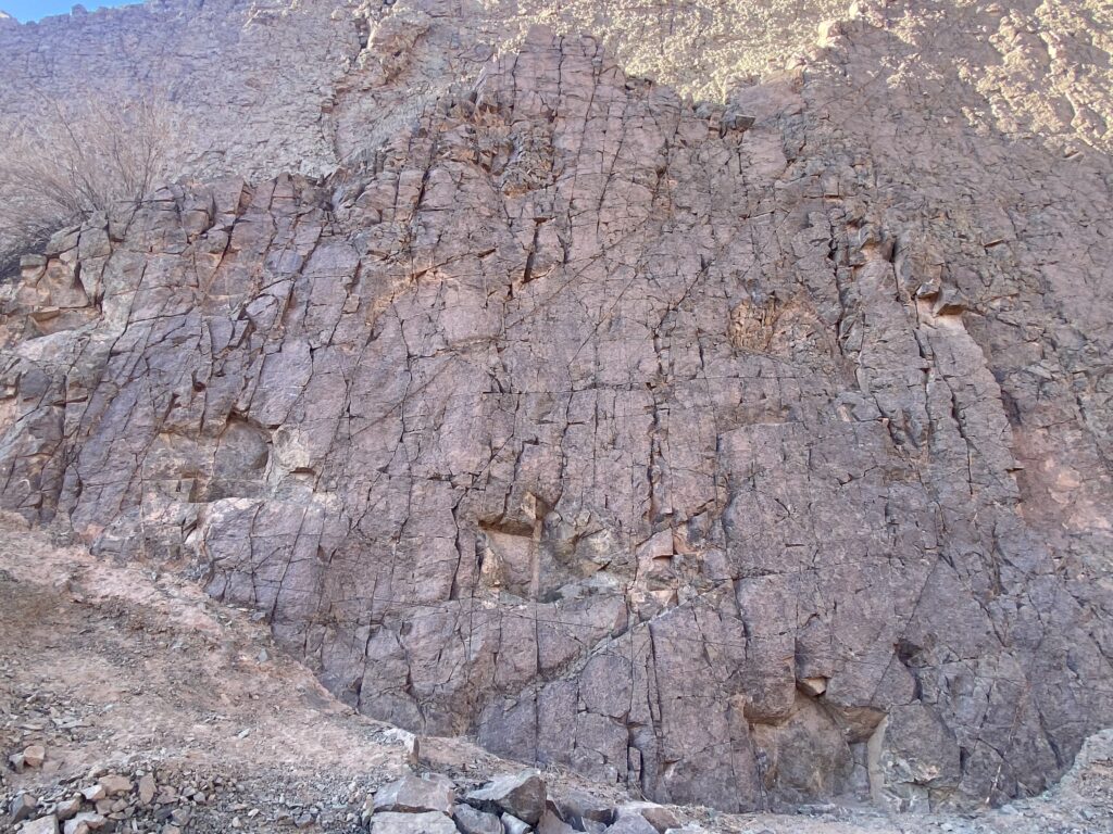 Icnitas en la Quebrada Huatacondo. Marko Yurac