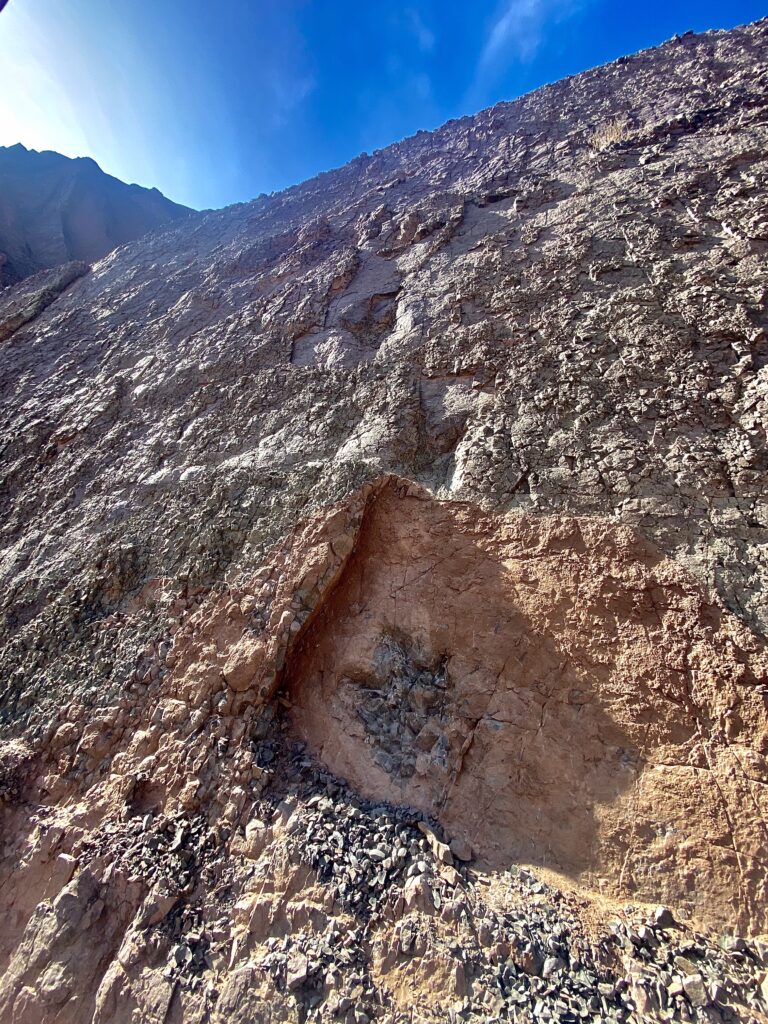 Icnitas en la Quebrada Huatacondo. Marko Yurac