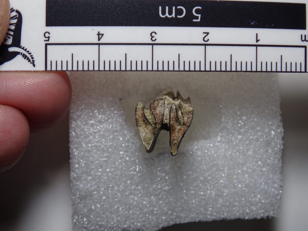 Foto de Martín Chávez