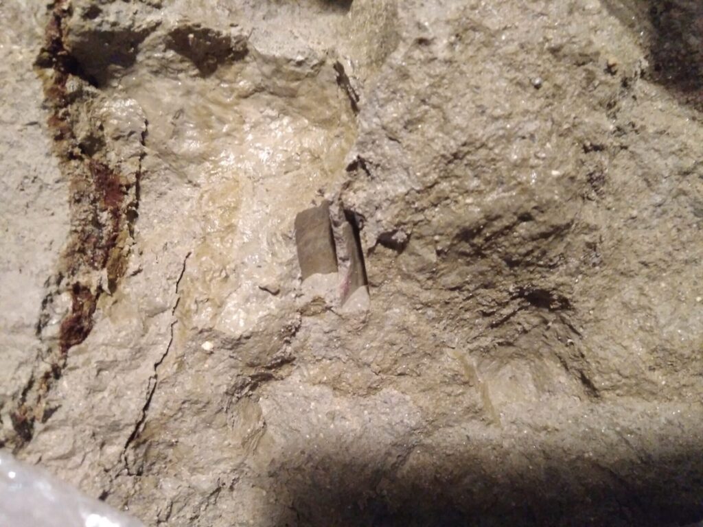 Foto de Martín Chávez