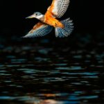 foto de Annais Pascual