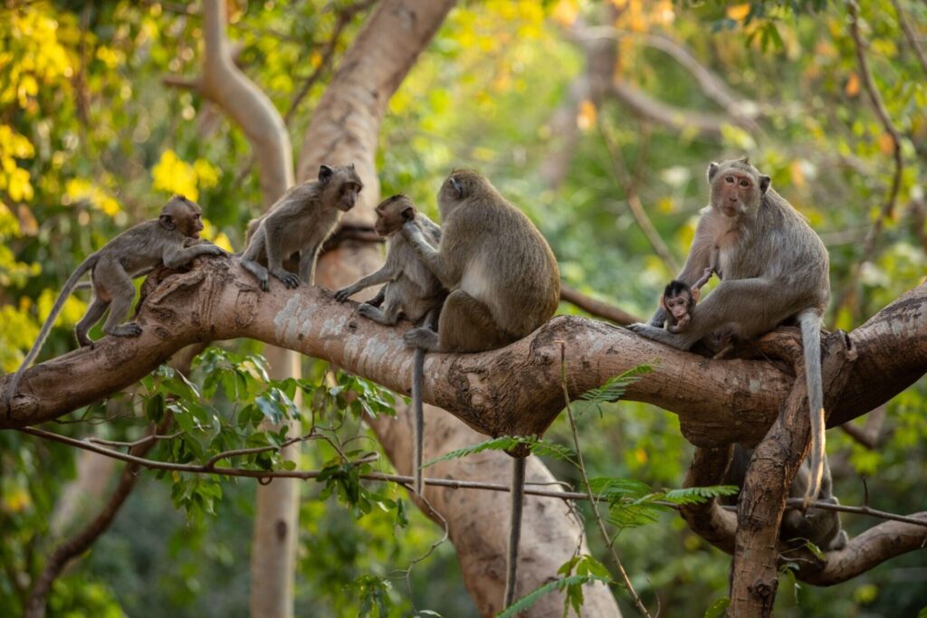 monos_Anton L. Delgado for Bloomberg Businessweek