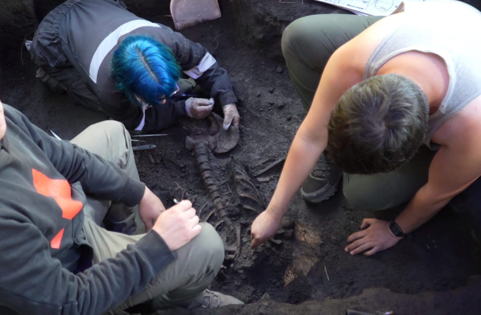 Nuevo hallazgo arqueológico en Tagua Tagua: Descubren tres individuos en buen estado de conservación, que tendrían hasta 5 mil años de antigüedad