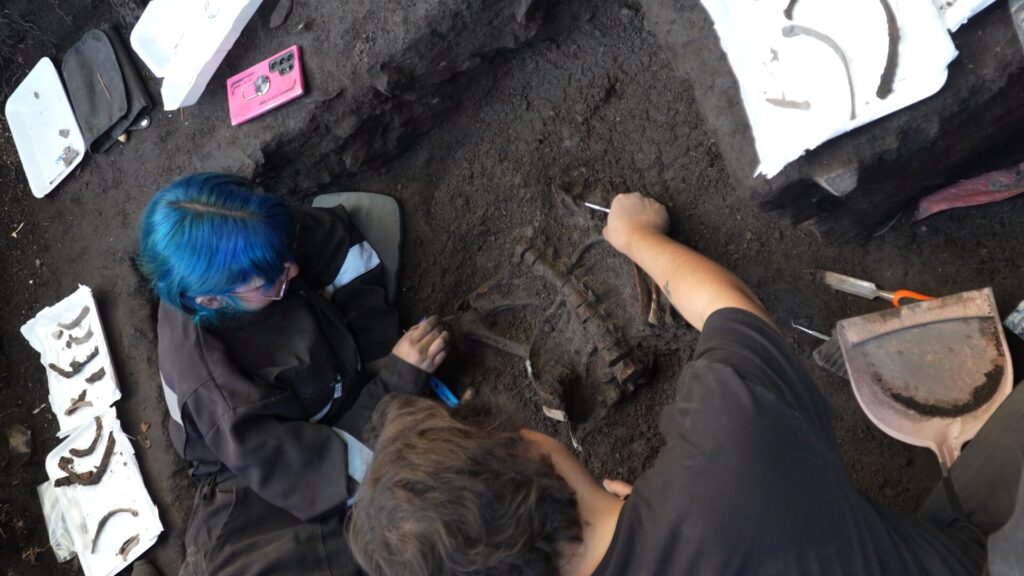 Nicole Vilches paleontóloga y Felipe Rojas Antropólogo Físico