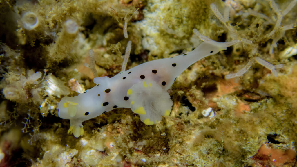 foto de Ana Navarro Campoy