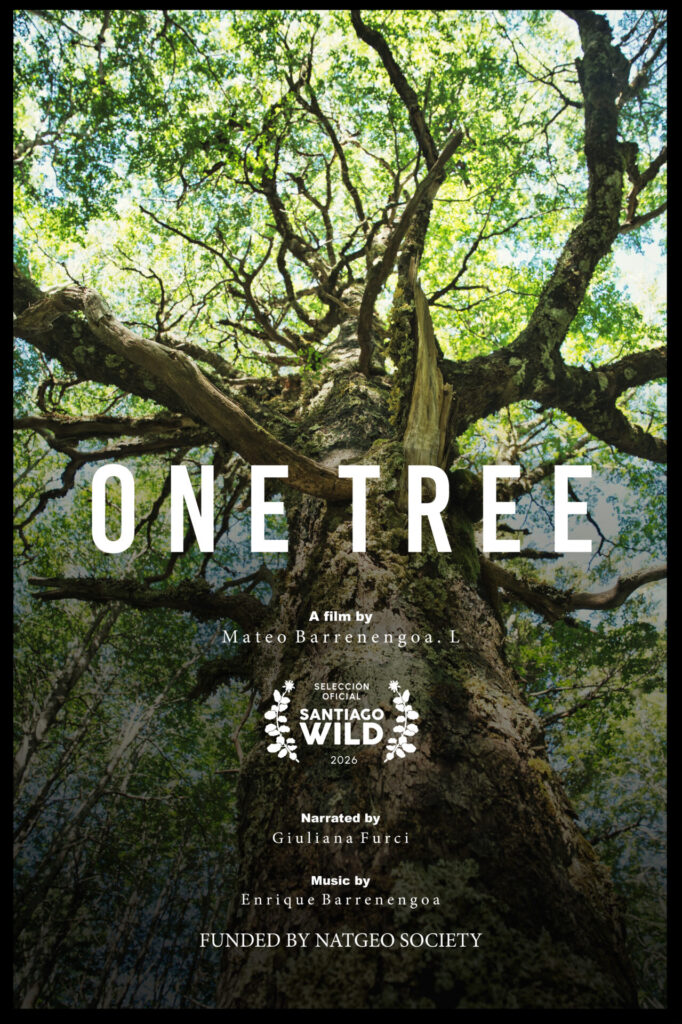Afiche One Tree.