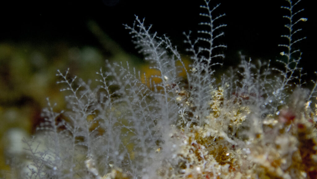 paisaje-ana-navarro-campoy