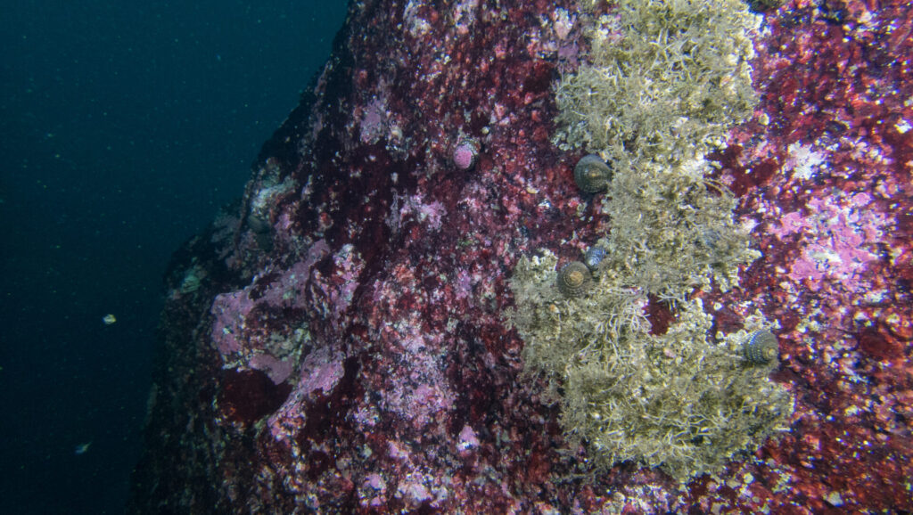 foto de Ana Navarro Campoy