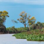 foto de Annais Pascual