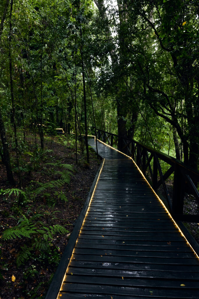 Parque Termal Botánico. Créditos (CC-BY): Parque Termal Botánico.