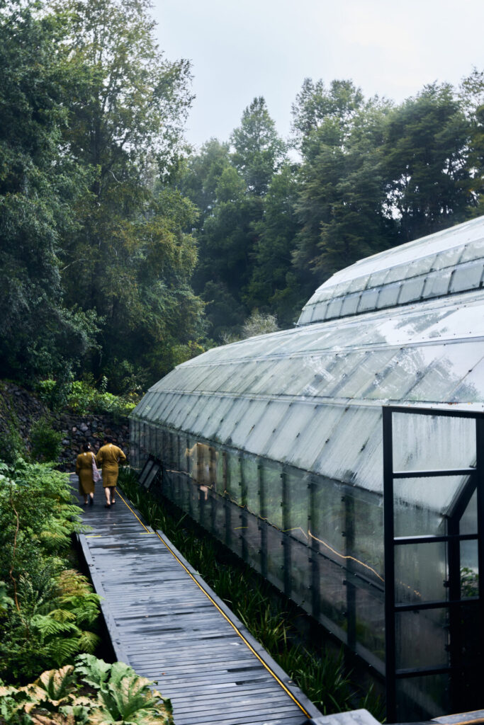 Parque Termal Botánico. Créditos (CC-BY): Parque Termal Botánico.