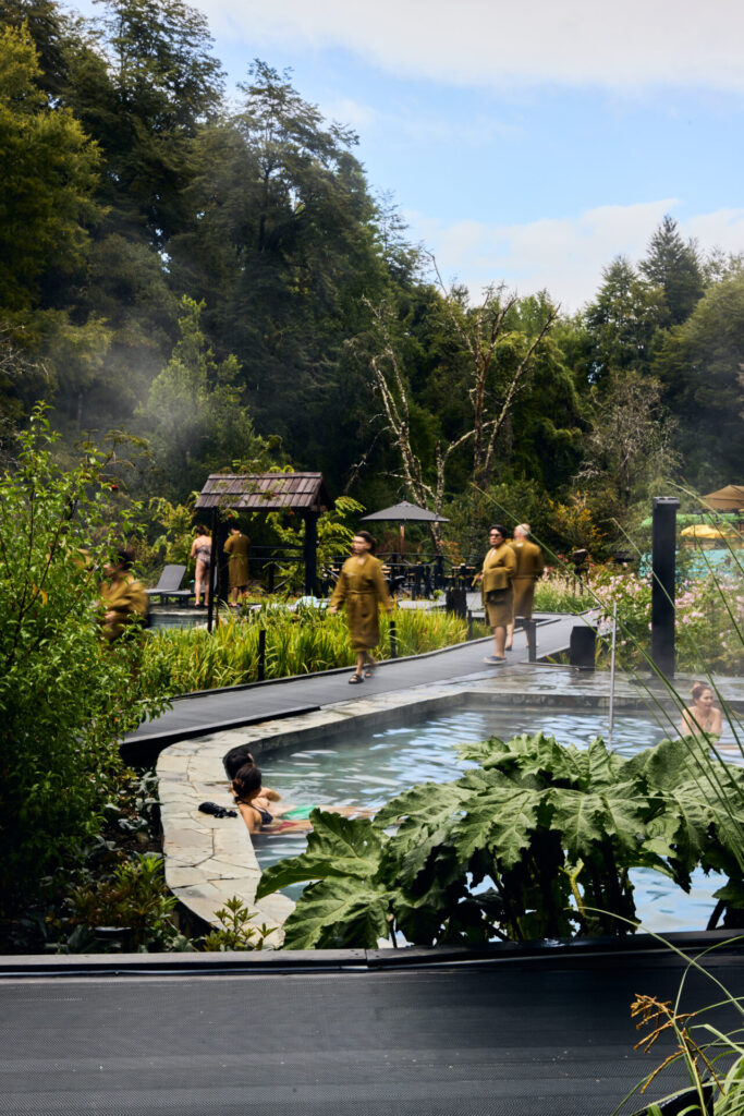 Parque Termal Botánico. Créditos (CC-BY): Parque Termal Botánico.