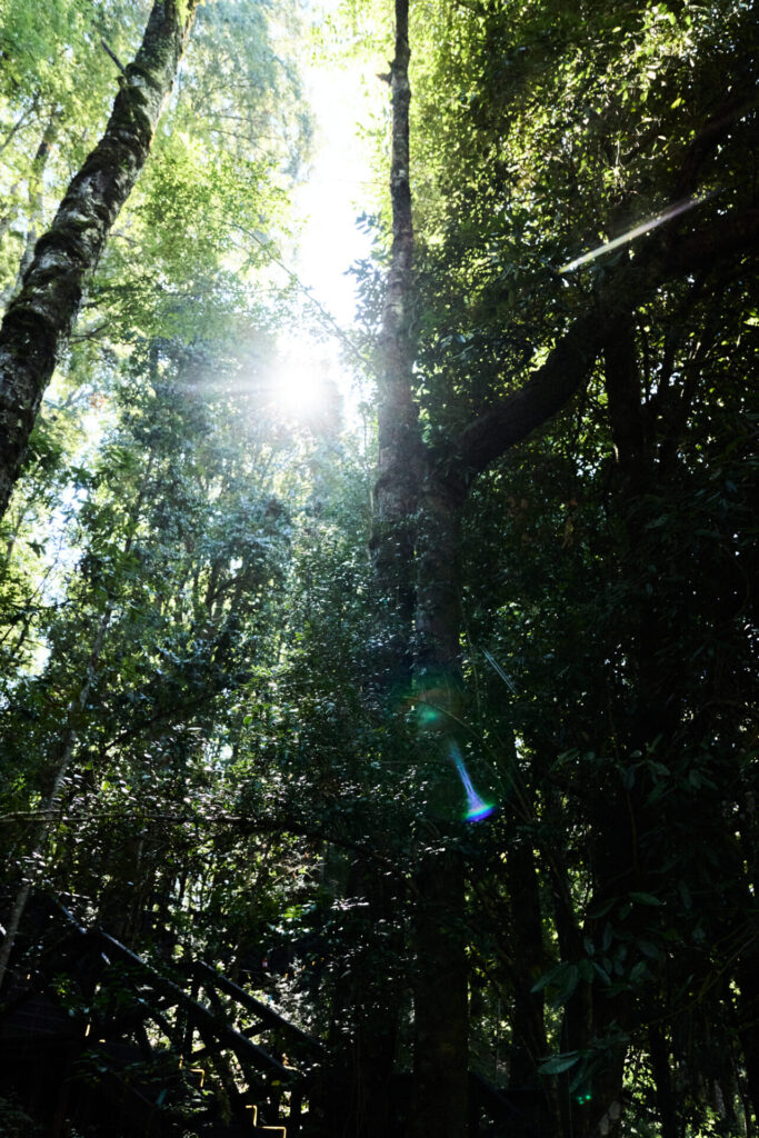 Parque Termal Botánico. Créditos (CC-BY): Parque Termal Botánico.