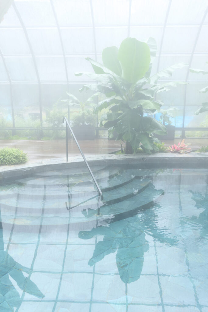 Parque Termal Botánico. Créditos (CC-BY): Parque Termal Botánico.