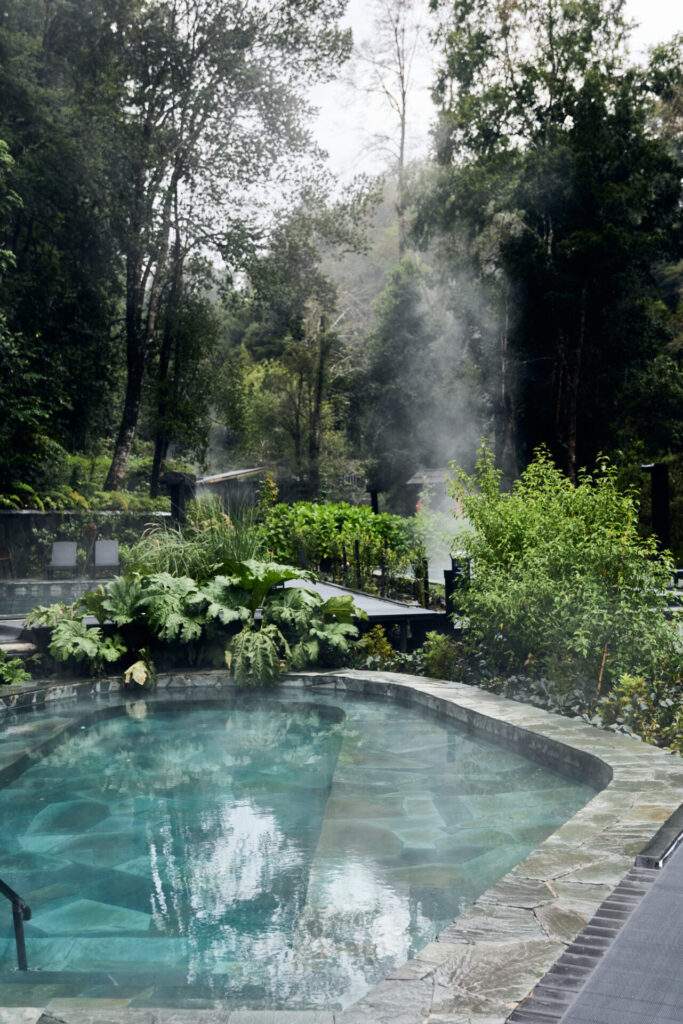 Parque Termal Botánico. Créditos (CC-BY): Parque Termal Botánico.