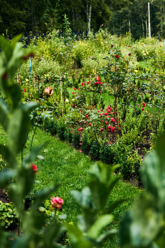 Parque Termal Botánico. Créditos (CC-BY): Parque Termal Botánico.