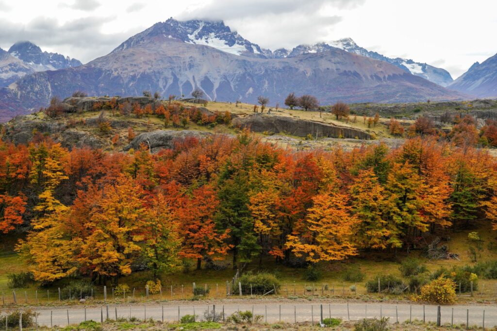 parquenacionalcerrocastillo