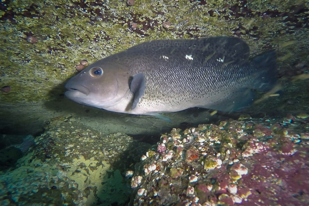 Paisaje marino, foto de Alejandro Pérez Matus