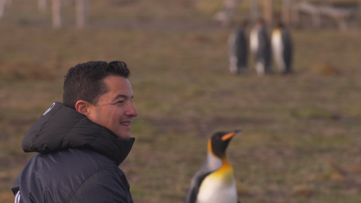 ¡No te pierdas su charla magistral! Pablo “Popi” García Borboroglu, el biólogo reconocido mundialmente por la protección de los pingüinos, estará en Santiago Wild 2026