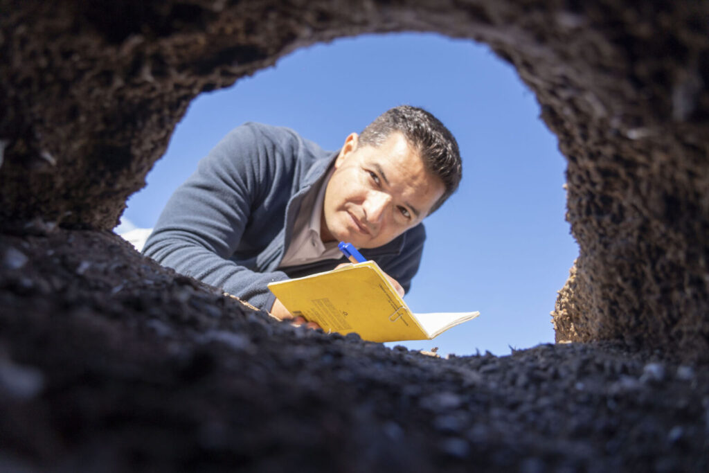 foto cortesía de Global Penguin Society