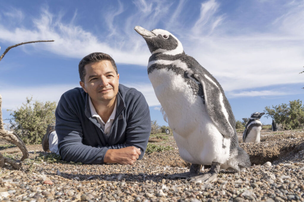 foto cortesía de Global Penguin Society