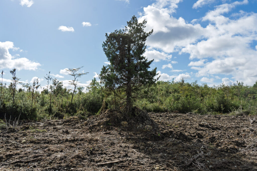 foto cortesía de Arquietctura USS