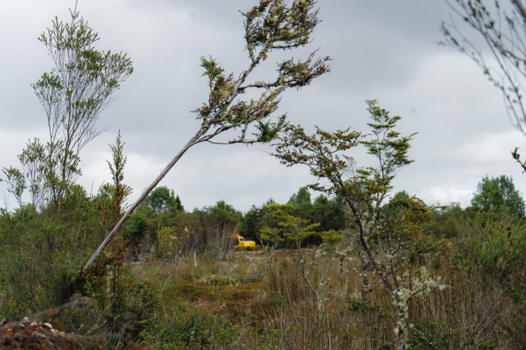 foto cortesía de Arquietctura USS