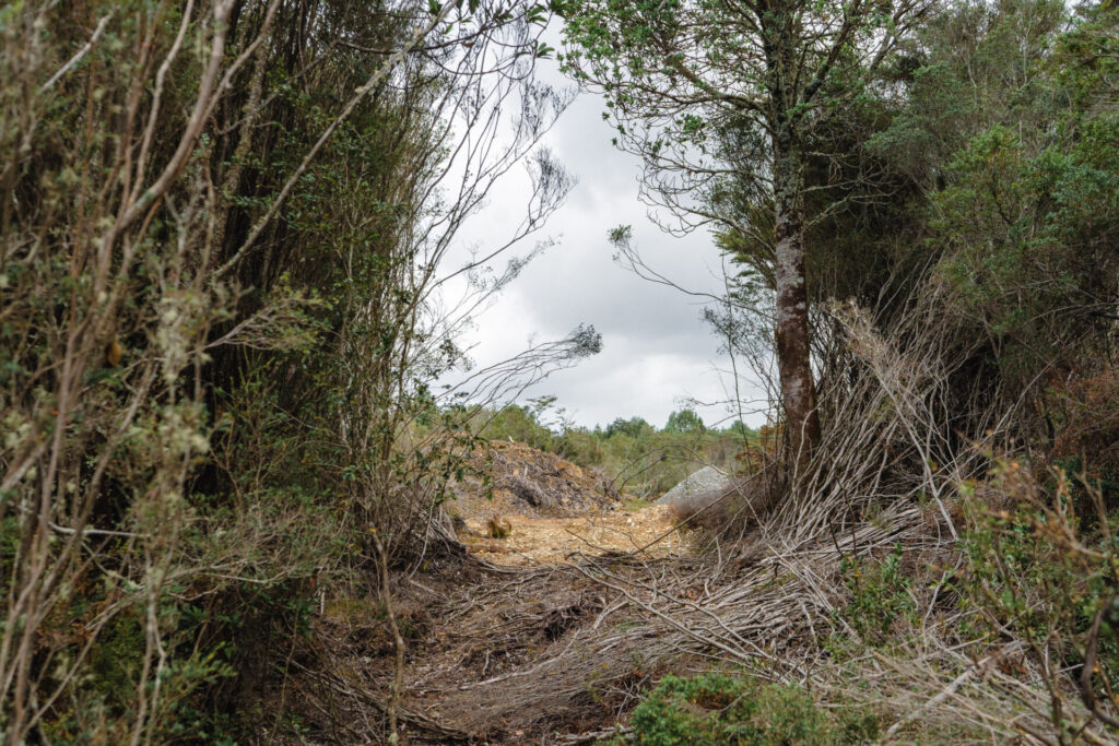 foto cortesía de Arquietctura USS