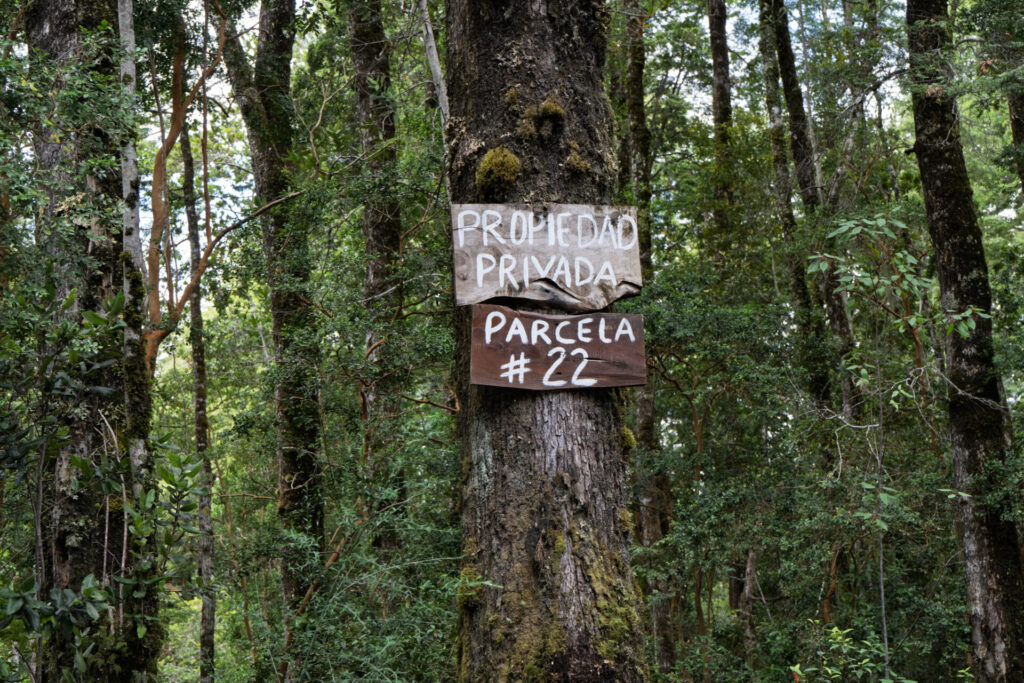 foto cortesía de Arquietctura USS