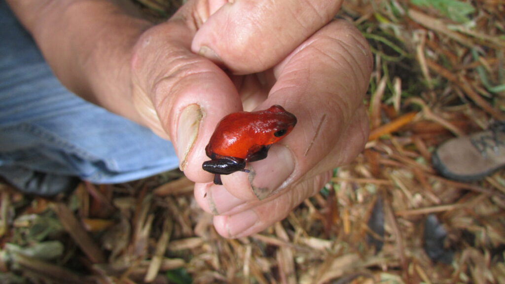 Foto Bárbara Tupper