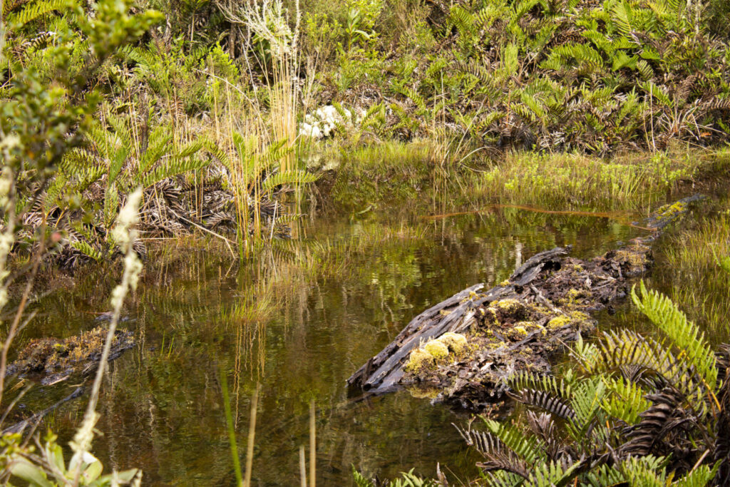 Créditos: Refugio Butamanga