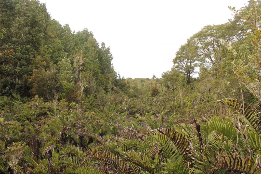 Créditos: Refugio Butamanga