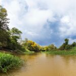 foto de Annais Pascual