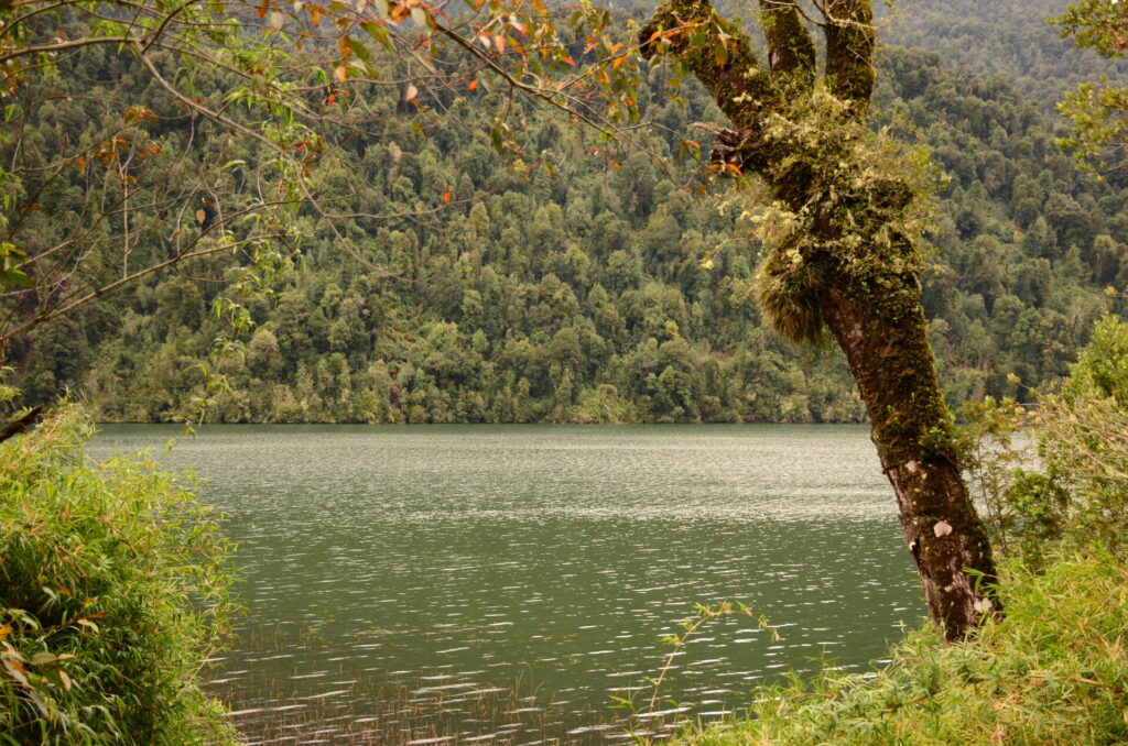 Foto por Rodrigo Hermosilla