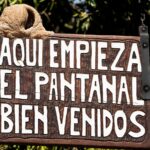 foto de Annais Pascual