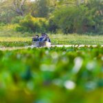 foto de Annais Pascual