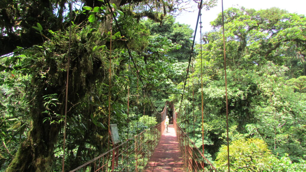 Foto Bárbara Tupper