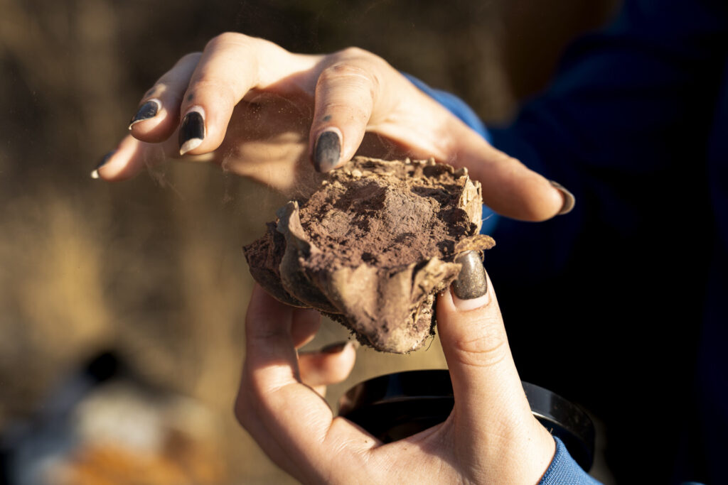 Foto por Clemente Gallardo