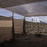 Corral construido para el Chaku ancestral de arreo y esquila de vicuñas, una práctica comunitaria tradicional que reúne a pobladores altoandinos para capturar, esquilar y liberar a estos camélidos silvestres sin causarles daño. Créditos: Tamara Merino/ UNESCO.