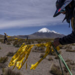 Arreo de vicuñas realizado a pie, con la participación de cerca de 60 personas —entre profesionales, operadores turísticos, autoridades y miembros de comunidades andinas— quienes forman una cadena humana para conducir a los animales hacia el corral. Créditos: Tamara Merino/UNESCO