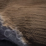 Una vicuña yace en el suelo mientras es evaluada por los equipos de profesionales. En este espacio controlado se registran datos biológicos, se revisa su estado sanitario y se toma vellón para su análisis. Créditos Tamara Merino/UNESCO