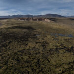 Bofedales ubicados a más de 4.600 m s. n. m., donde se alimentan y se desplazan grupos de vicuñas (Vicugna vicugna) junto a otras especies altoandinas, como vizcachas, flamencos, suris y diversas aves migratorias. Estos humedales de altura constituyen. Tamara Merino/UNESCO.